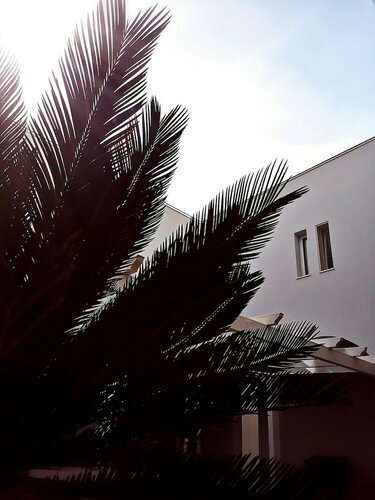 il Chiostro delle Cererie, Book Guesthouse Hotels in Basilicata with Breakfast, Breakfasts