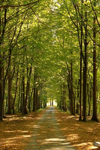Dwór Sieraków, Забронировать Отель Sieraków Малопольское воеводство