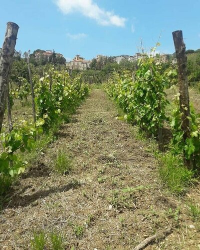 Agriturismo La Magione Del Capitano, Забронировать Дом для отпуска Отели Монтекорвино-Пульяно с парковкой, Парковка