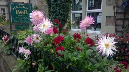 Mardon Guest House, Забронировать Гостевой дом Отели Moray Firth с завтраком, Завтраки