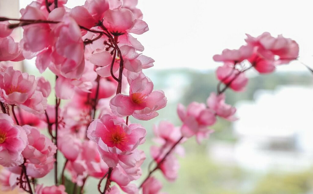 Sakura Princess Hotel