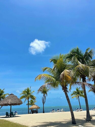 Coconut Cove Resort & Marina, Varaa Lomakeskus Lomahotellit kohteessa Florida, Lomakeskus