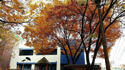 Lia House, Rezerwuj Hotel Ch'ŏngnyong-dong Pusan