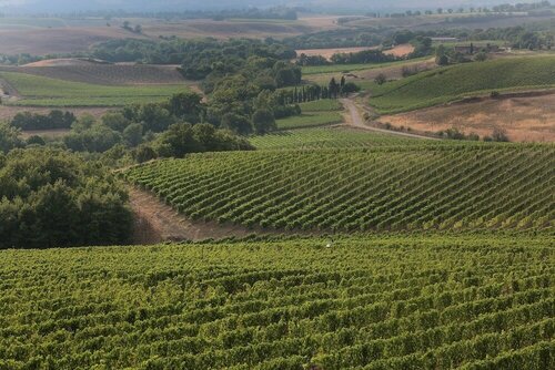 Agriturismo A. Bonacchi