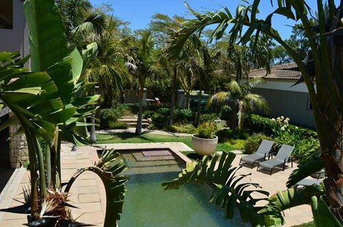 African Palm Cottage and Guesthouse, Брондау Демалыс үйі Durbanville Cape Town Northern Suburbs