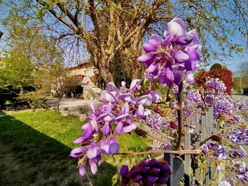 B&B La Bugia di Villa Tanzi, Reserva ahora Bed & breakfast Hoteles en Parma con aparcamiento, Aparcamiento