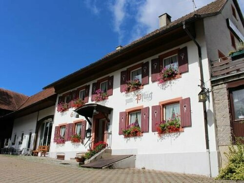 Hotel Landgasthof zum Pflug, Reserva ahora Hotel Hoteles en Baden-Wurtemberg con desayuno, Desayunos