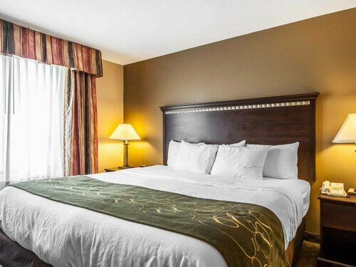 Comfort Suites Tuscaloosa near University, Забронировать Отель Таскалуса штат Алабама