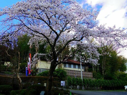 Hiraizumi Hotel Musashibou, Prenota Hotel Hotel a Tohoku con colazione, Colazione
