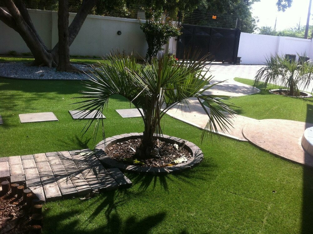 Cosy Palms Guest House