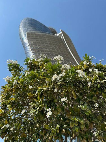 Andaz Capital Gate Abu Dhabi, By Hyatt, Забронировать Отель Отели Эмирата Абу-Даби с питанием, Пансион