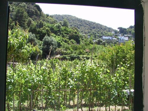 Hotel Monte Tabor, Book Hotel Hoteller i Ischia med parkering, Parkering