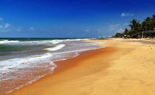Palms, Mount Lavinia, Забронировать Отель Отели Дехивала-Маунт-Лавиния 4 звезды, 4*