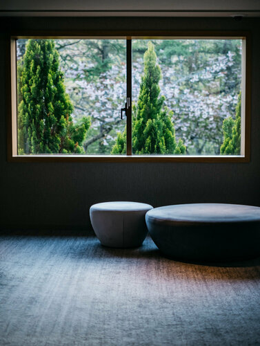 Fuji Marriott Hotel Lake Yamanaka, Prenota Hotel Hotel 5 stelle a Tokai, 5*