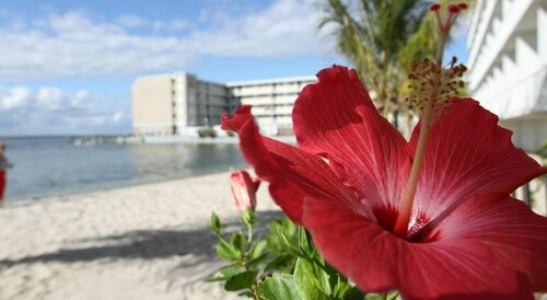 Princess Bayside Beach Hotel, Забронировать Отель Отели Оушен-Сити с бассейном, рядом с Roland E. Powell Convention Center &amp; Visitors Info Center, Бассейн