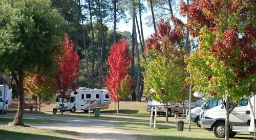 Beechworth Lake Sambell Caravan Park, Book Hotel Beechworth Victorian High Country