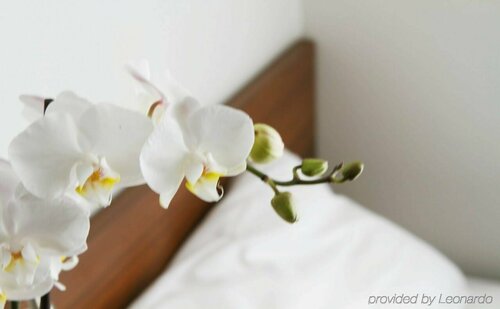 Smarthotel Tromsø, Забронировать Отель Тромсё Тромс и Финнмарк