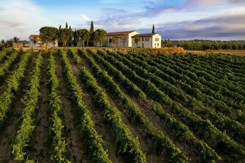 Tenuta Di Colle Alberti Agriturismo, Забронировать Отель Отели Черрето-Гвиди с бассейном, Бассейн