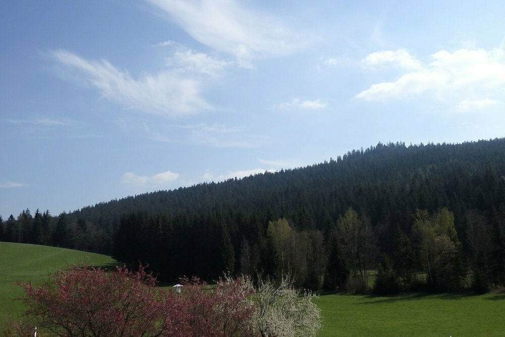 Landhotel Grün Wies