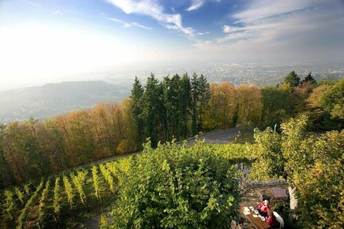 Burg Windeck ***S, Забронировать Отель Отели Бюль 3 звезды, 3*