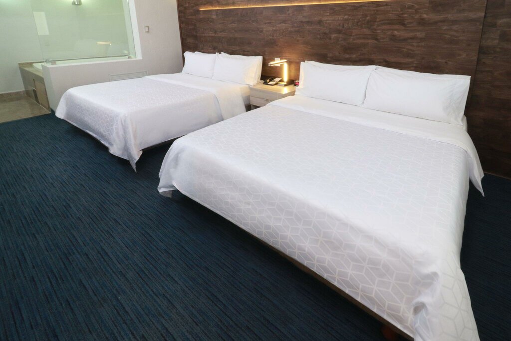 Holiday Inn Express San Luis Potosi, an Ihg Hotel