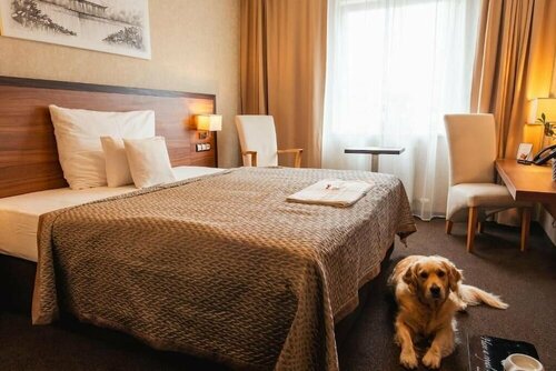 PREMIUM Business Hotel Bratislava, Забронировать Отель Ружинов Братислава