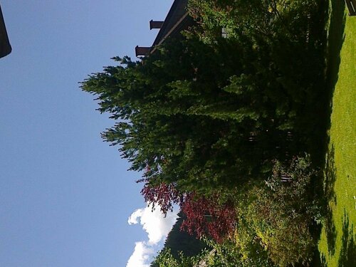 Ferienhaus Zipfmatl Keusche, Забронировать Отель Бад-Клайнкирххайм Bad Kleinkirchheim - Nock Mountains National Park, рядом с Bachlift