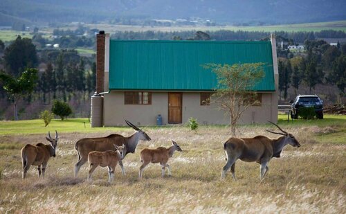Kwetu Guest Farm, Забронировать Фермерский дом Buffeljagsrivier Свеллендам
