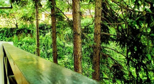 TRUC LAM HOTEL, Забронировать Отель Шапа Лаокай