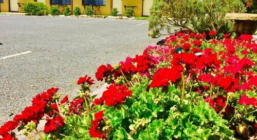 Colonial Motor Inn Pambula, Забронировать Мини-отель Отели Меримбула с бассейном, Бассейн
