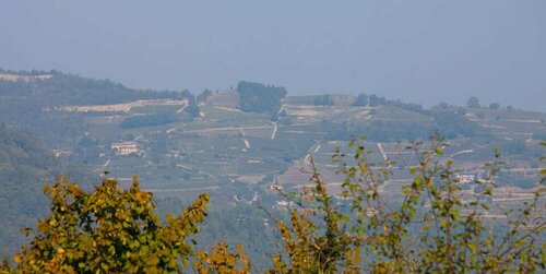 Cascina IL SOGNO, Prenota Bed & breakfast Trezzo Tinella Langhe