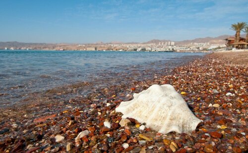 Leonardo Plaza Hotel Eilat, Book Hotel SPA-hoteller i Eilat, SPA