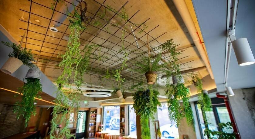 Soho259 Guesthouse