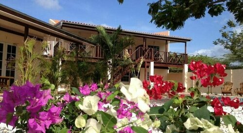 White Beach Apartments - Eagle Beach, Book Lejlighed Noord Aruba