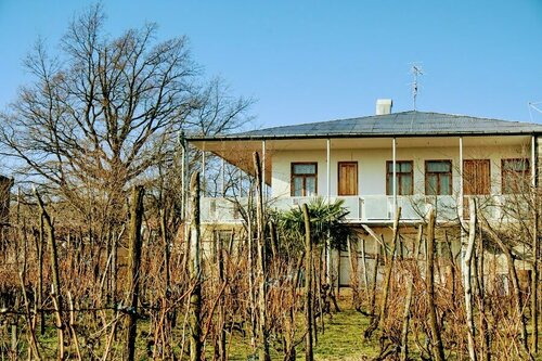 Guesthouse Zedafoni, Prenota Affittacamere Affittacamere a Imereti, Affittacamere