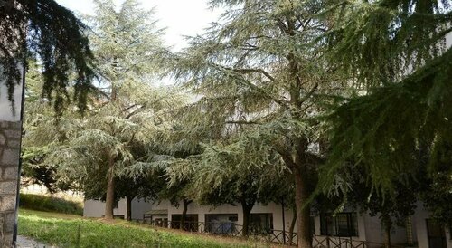 BB Europa, Rezervați Hotel Hoteluri ieftine în Potenza