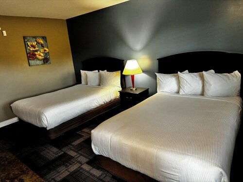 Vedder River Inn, Prenota Locanda Chilliwack Lower Mainland British Columbia