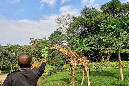 Arusha Safari Lodge, Забронировать Дом для отпуска Аруша Объединенная Республика Танзания