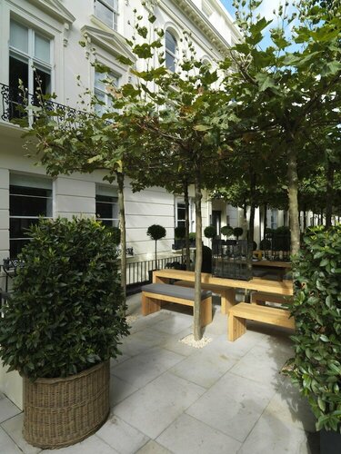 La Suite West Hotel London, Забронировать Отель Лондон Большой Лондон, рядом с Elfin Oak