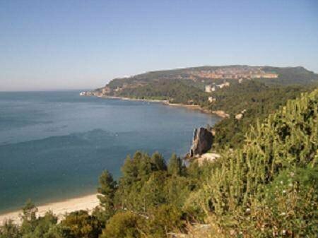 Guesthouse Bocage, Забронировать Гостевой дом Сетубал Costa Azul, рядом с Парк Алгодея