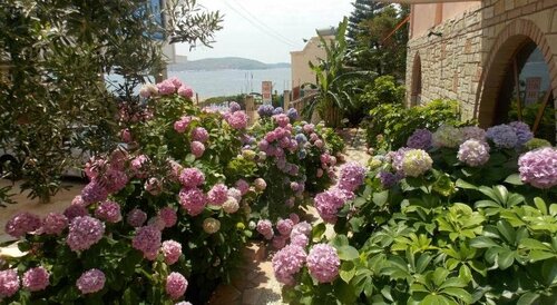 Hotel Piccolino, Buchen Sie Hotel Saranda Qark Vlora
