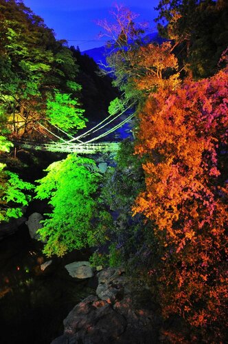 Daiwa Roynet Hotel Tokushima Ekimae, Book Hotel Hoteller i Shikoku med parkering, Parkering