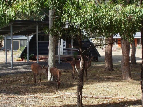 The A-Frame, Buchen Sie Hotel Halls Gap Grampians