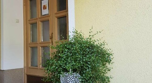 Pension Haus in der Sonne, Забронировать Отель Отели Тироля с парковкой, Парковка