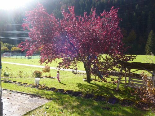 Haus Ausserbach, Book Hotel Hoteller i Vorarlberg med parkering, Parkering