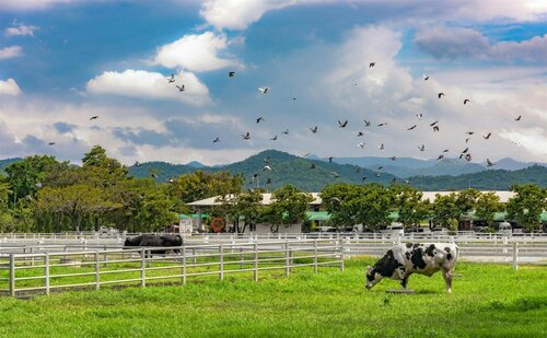 Phopheng Sweethome, Забронировать Отель Отели Khao Yai с парковкой, Парковка