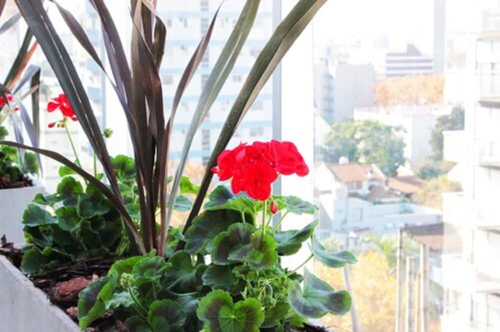 Hotel Master Suite Devoto