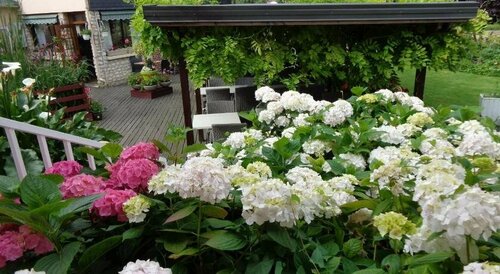 Logis Hôtel Restaurant LUnique, Забронировать Отель  