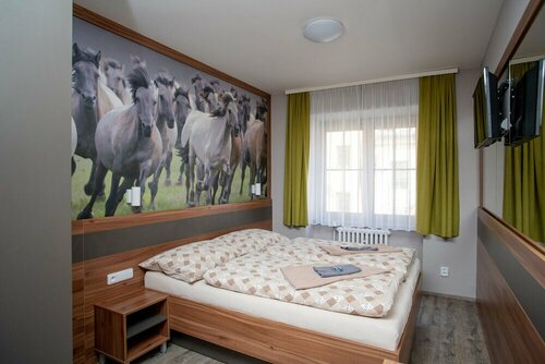 Hotel U koně, Prenota Hotel Beroun Boemia centrale