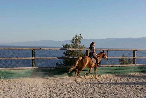 Yayaki Spetses, Забронировать Гостевой дом Спеце Саронические острова
